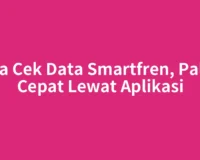 Cara Cek Data Smartfren, Paling Cepat Lewat Aplikasi
