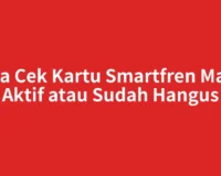 Cara Cek Kartu Smartfren Masih Aktif atau Sudah Hangus