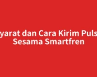 Syarat dan Cara Kirim Pulsa Sesama Smartfren