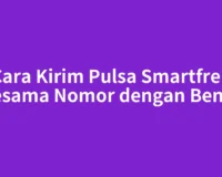 Cara Kirim Pulsa Smartfren Sesama Nomor dengan Benar