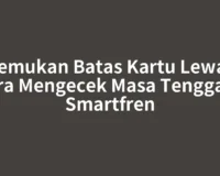 Temukan Batas Kartu Lewat Cara Mengecek Masa Tenggang Smartfren