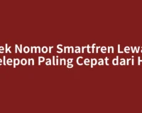 Cek Nomor Smartfren Lewat Telepon Paling Cepat dari HP
