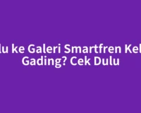 Perlu ke Galeri Smartfren Kelapa Gading? Cek Dulu