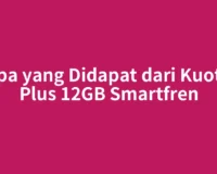 Apa yang Didapat dari Kuota Plus 12GB Smartfren