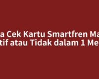 Cara Cek Kartu Smartfren Masih Aktif atau Tidak dalam 1 Menit