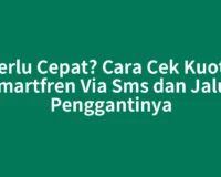 Perlu Cepat? Cara Cek Kuota Smartfren Via Sms dan Jalur Penggantinya