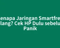 Kenapa Jaringan Smartfren Hilang? Cek HP Dulu sebelum Panik