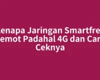 Kenapa Jaringan Smartfren Lemot Padahal 4G dan Cara Ceknya