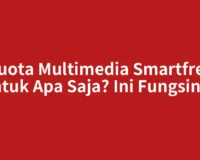 Kuota Multimedia Smartfren untuk Apa Saja? Ini Fungsinya